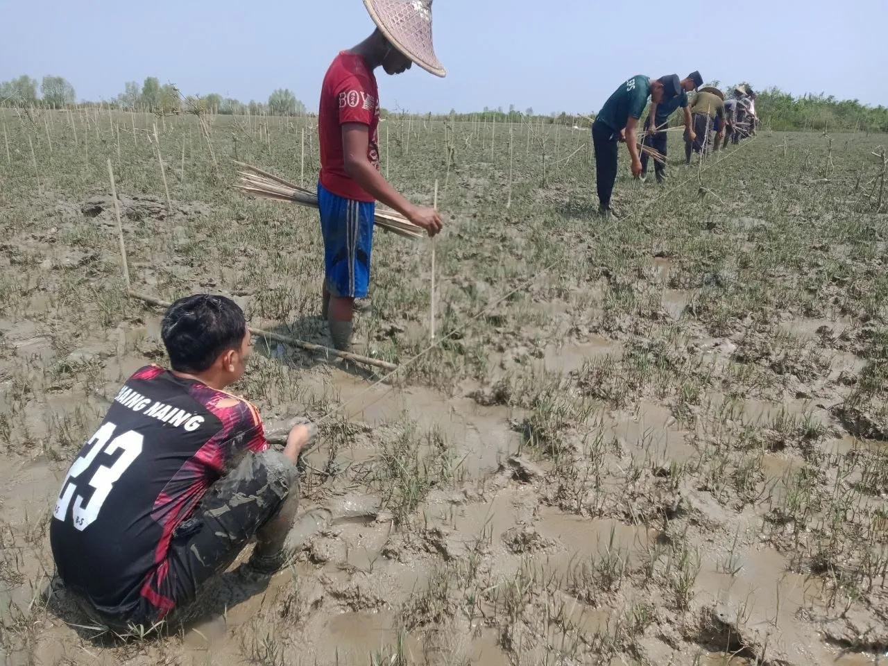 Narinjara News Image