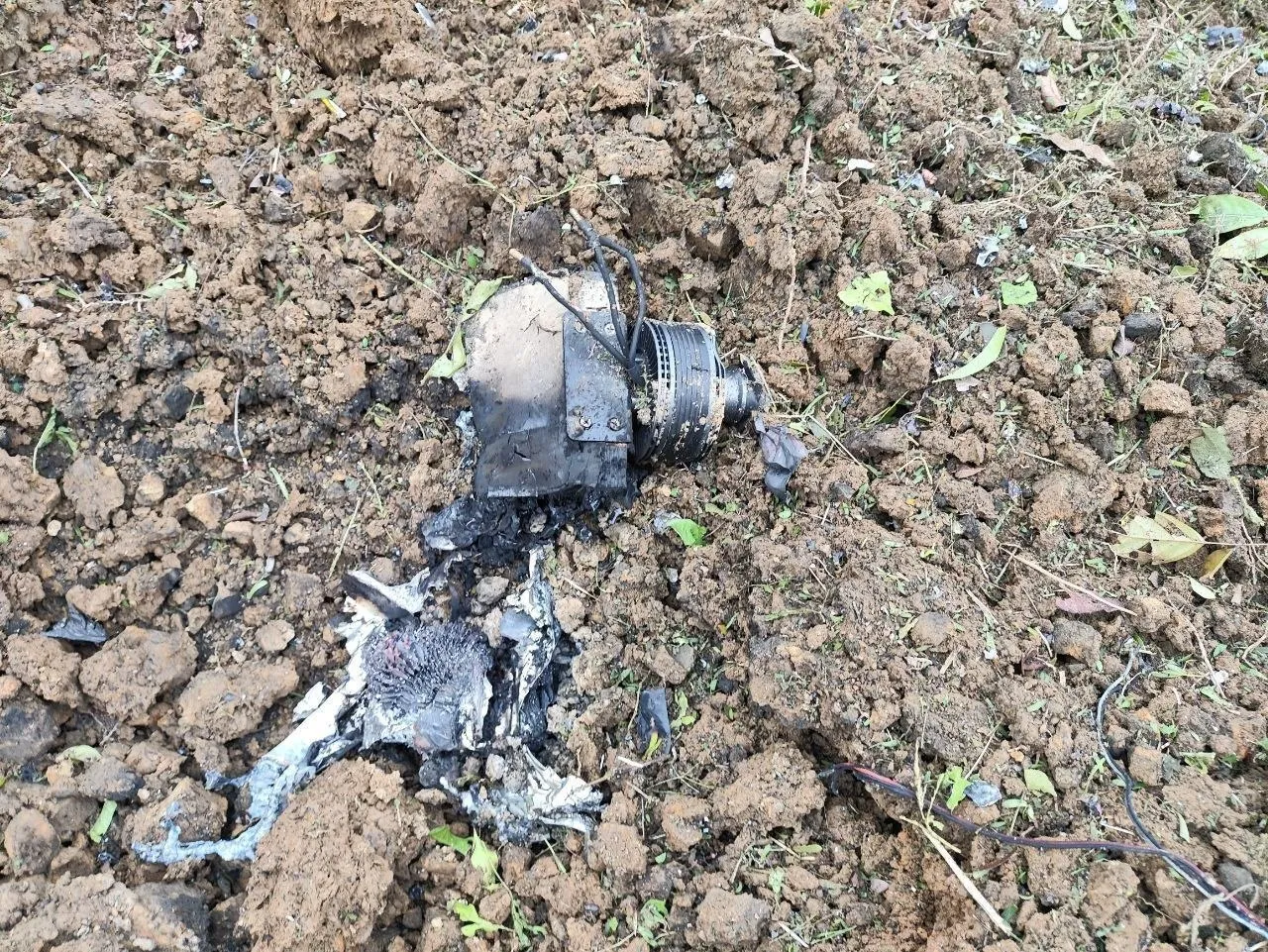 Narinjara News Image